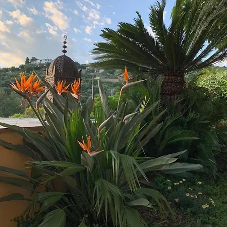 Διαμέρισμα Studio Fuer 2 Personen Ca 45 Qm In Imperia, Italienische Riviera Italienische Westkueste Imperia